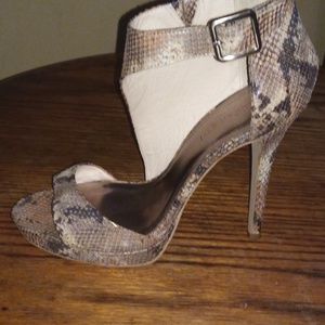 Madden girl snake skin print